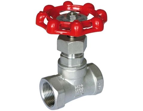Globe Valve 316 3/4"