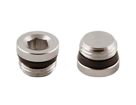 Plug BR w/O-ring 1/2"