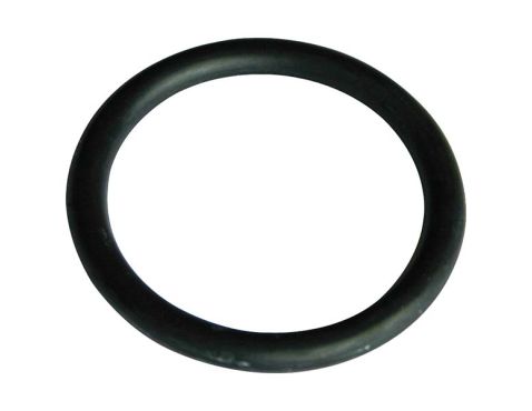 O-ring f/filterhus 2"