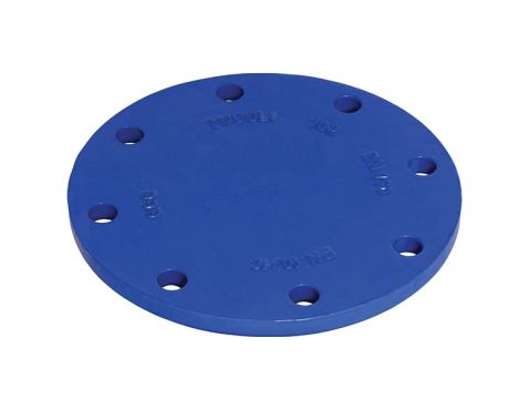 Blindflange DN50 Epoxy 250µm